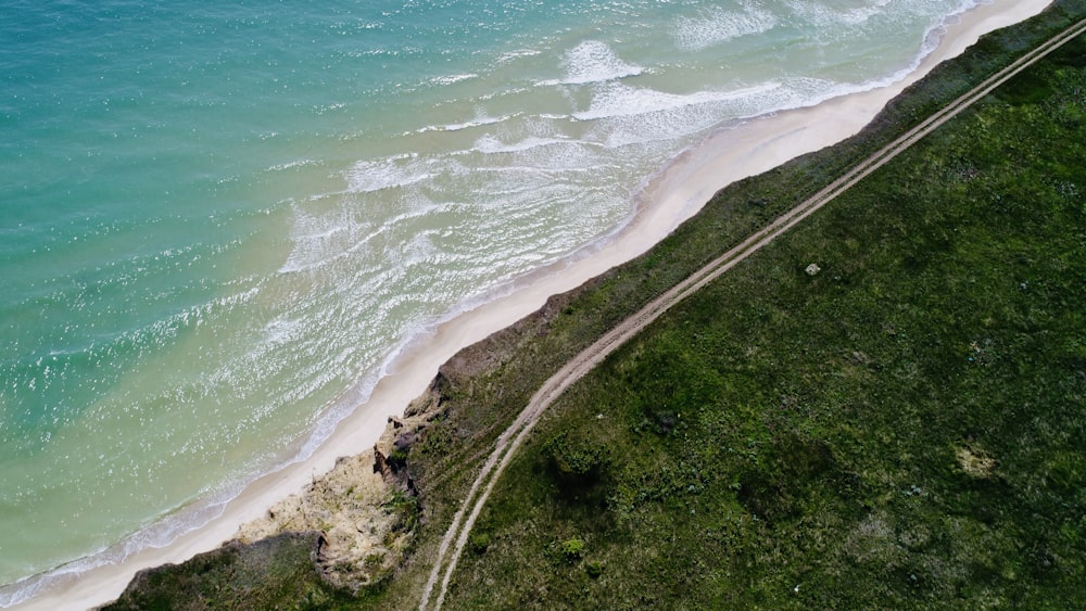 aerial photography of forest beside shore during daytime