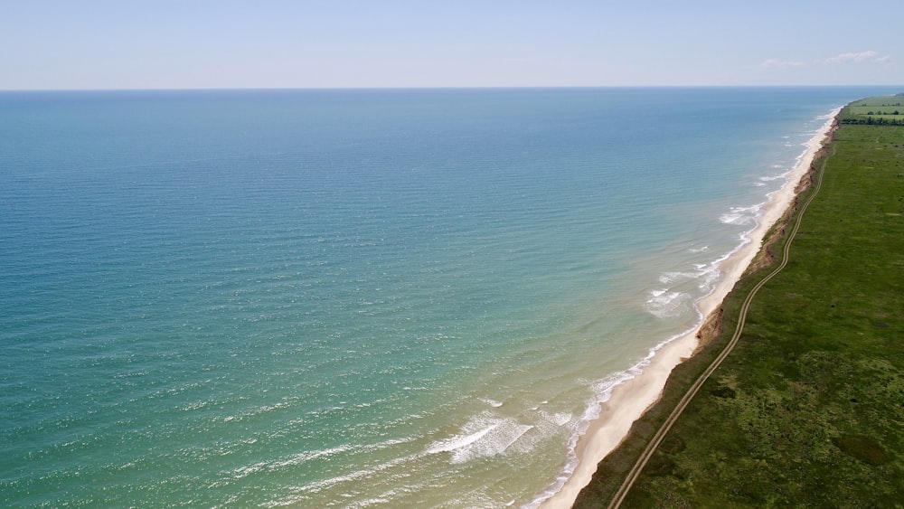 aerial photography of forest beside sea during daytime