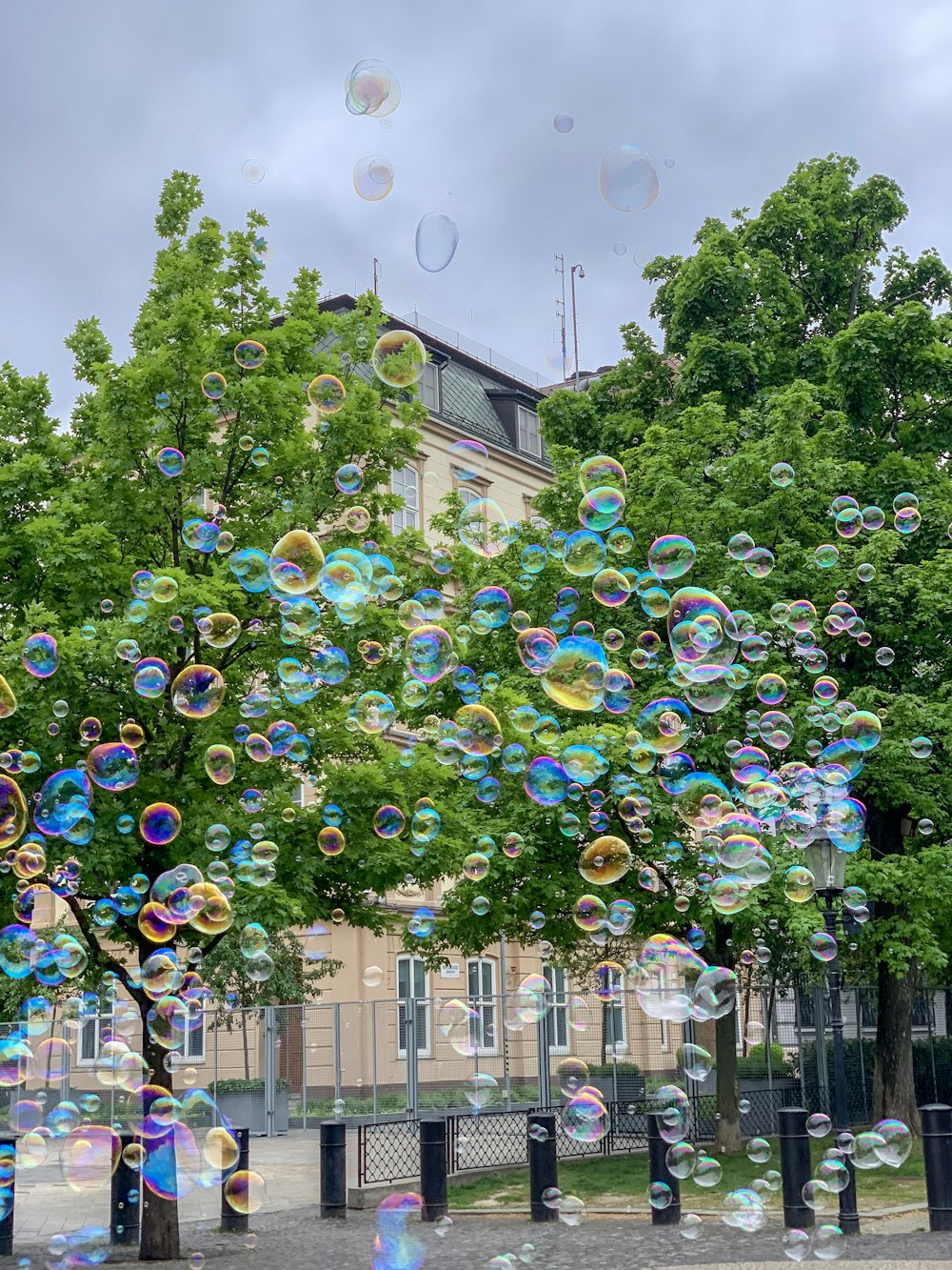 bubbles flying during daytime