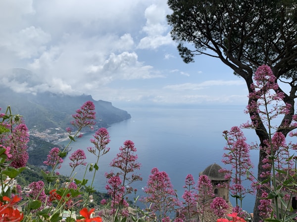 Cruise the Isle of Capri