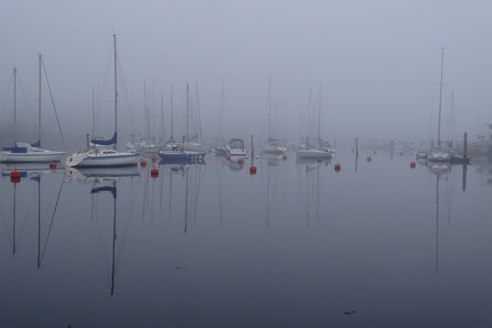 boats on dock during foggy morning