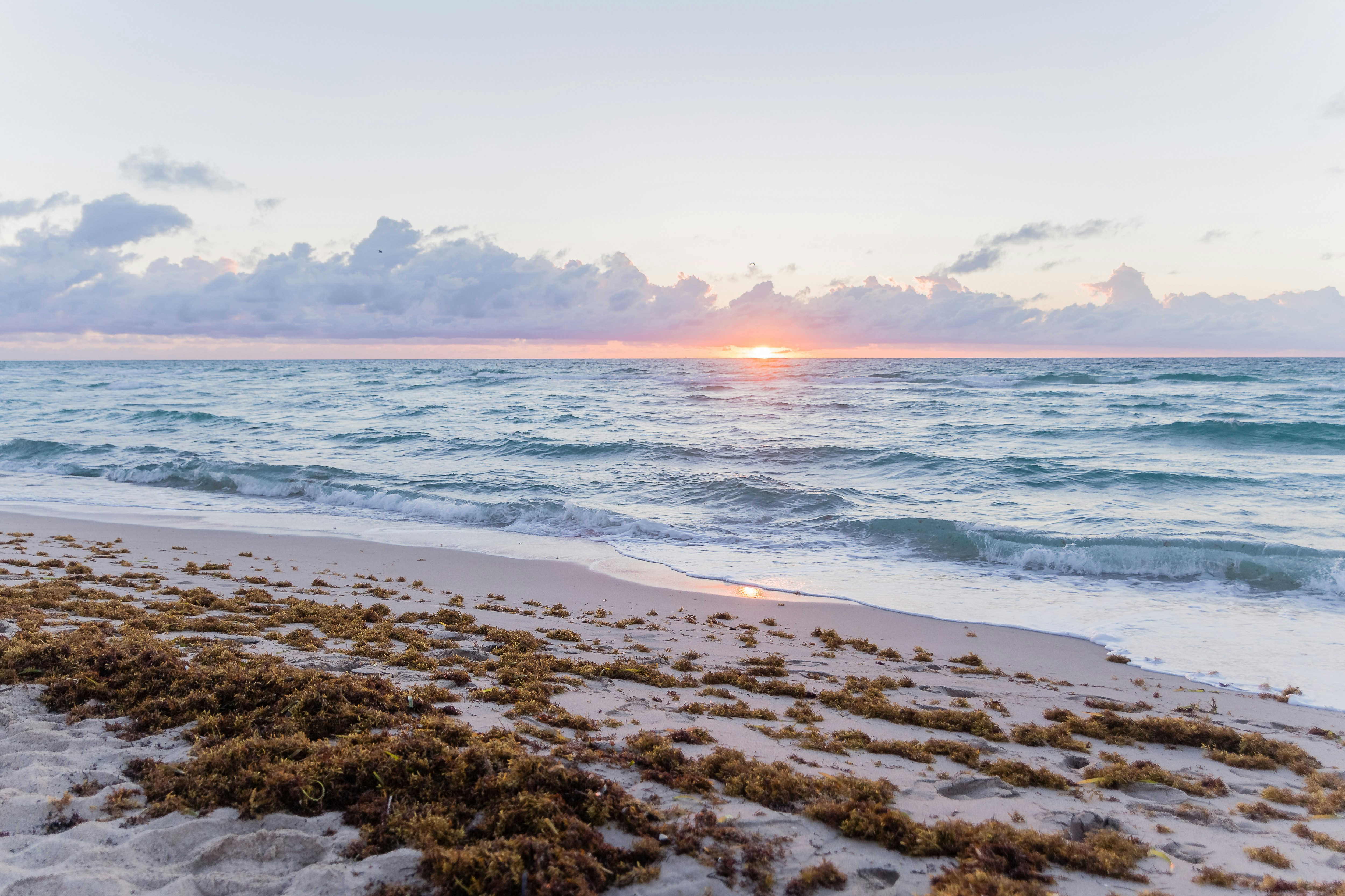 Photo by apsprudente