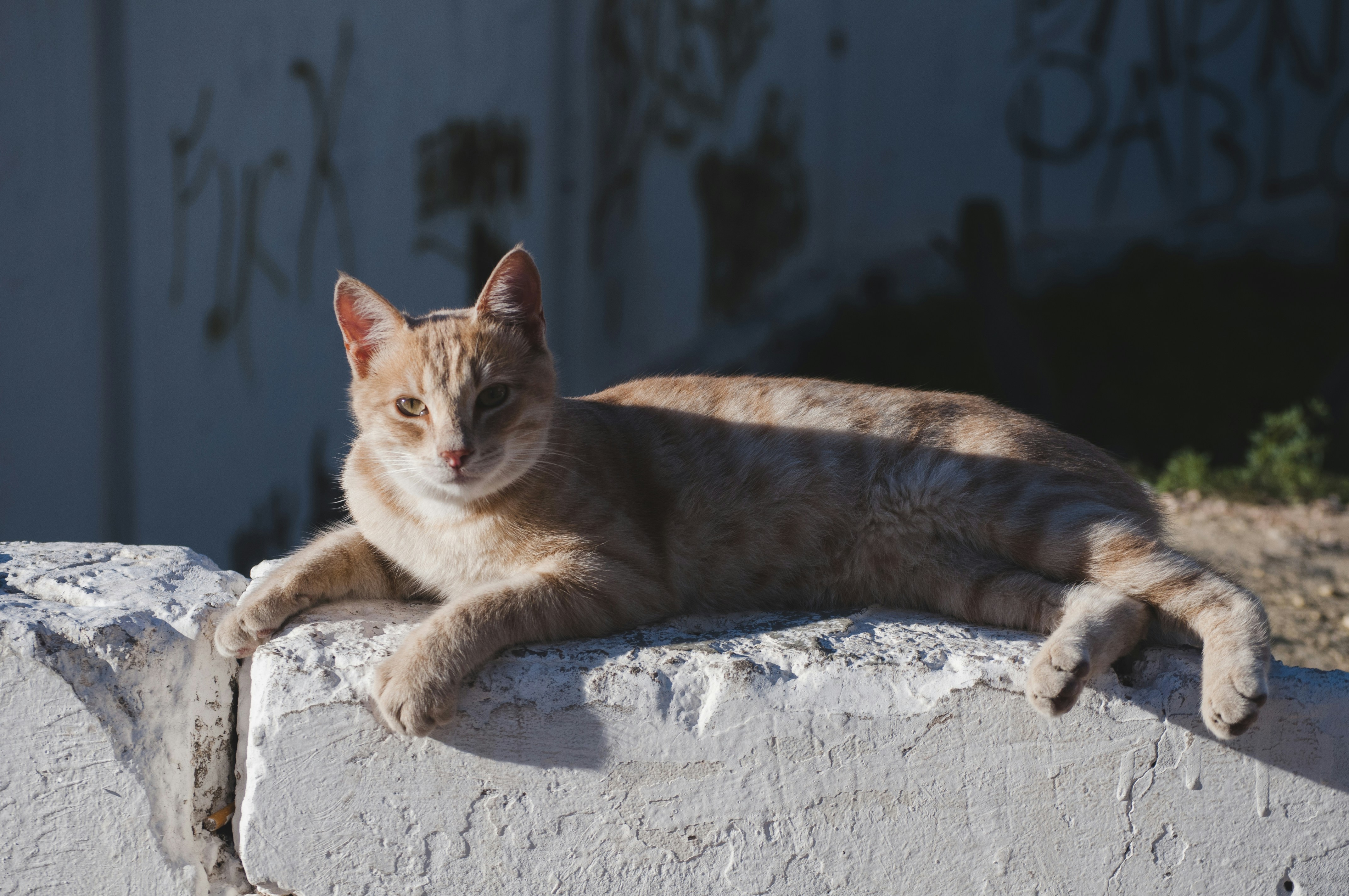 Photo by yuli_superson