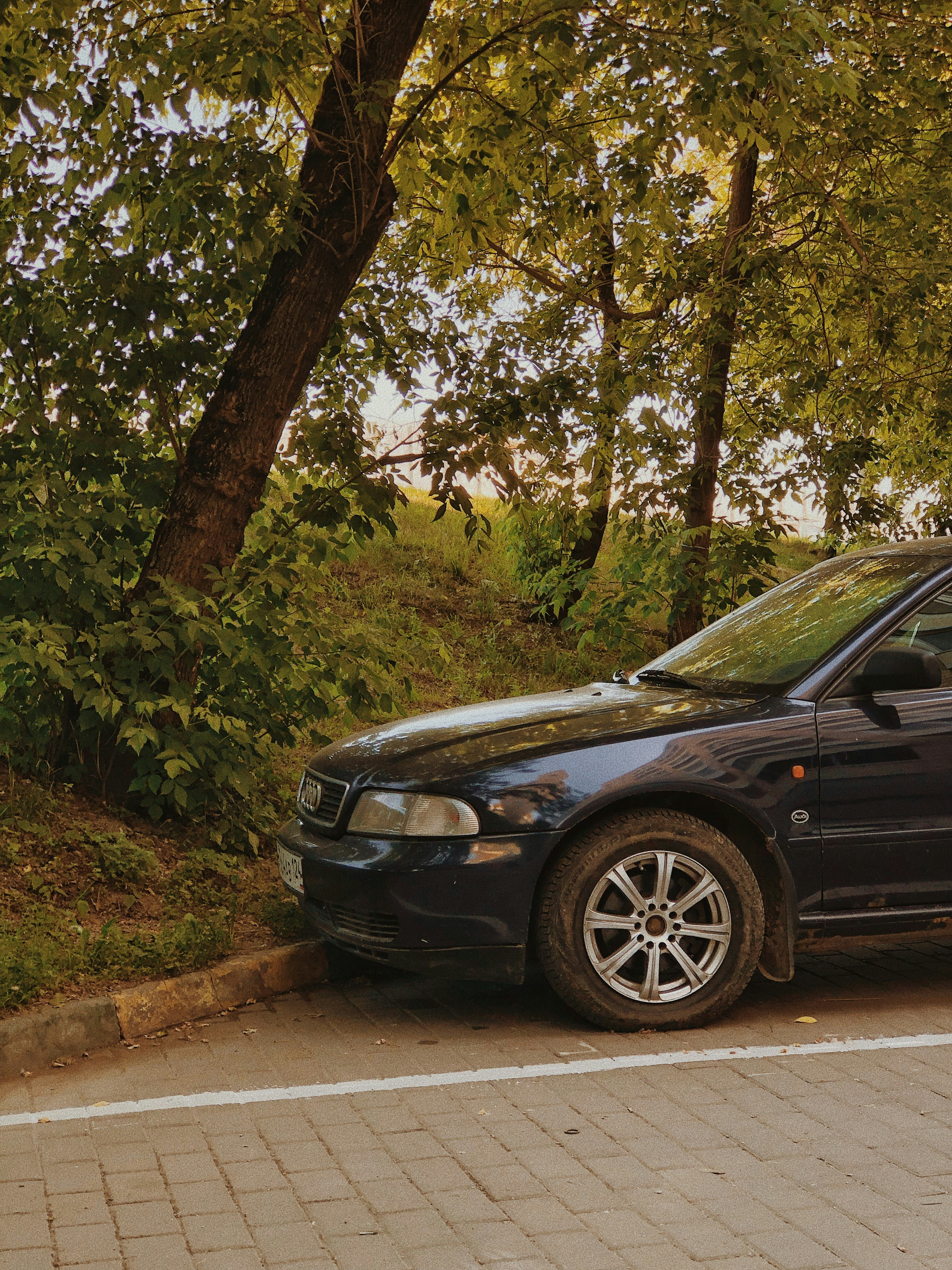 Photo by shklyaevmax