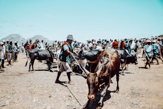 A group of local cattle farmers in Macuspana discussing livestock care on a sunny day.