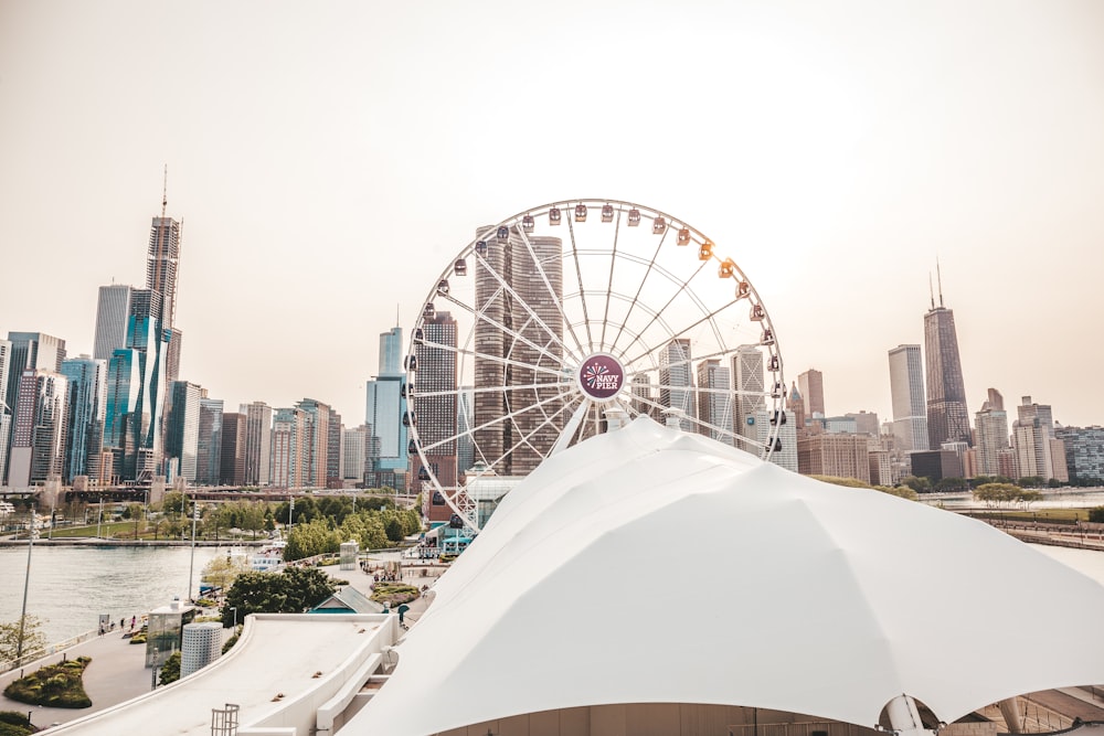 white and red ferris wheel