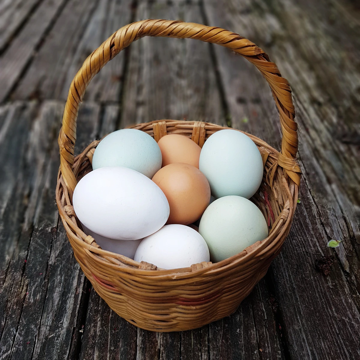 Basket of fresh farm eggs