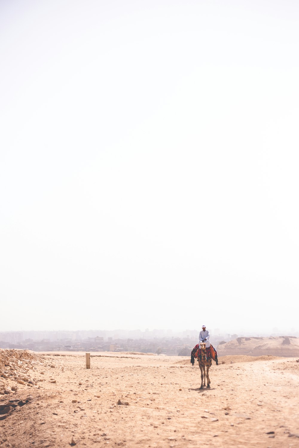 person riding camel