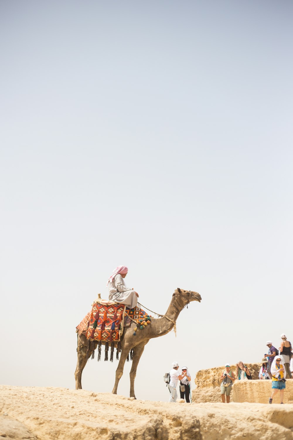 man riding camel