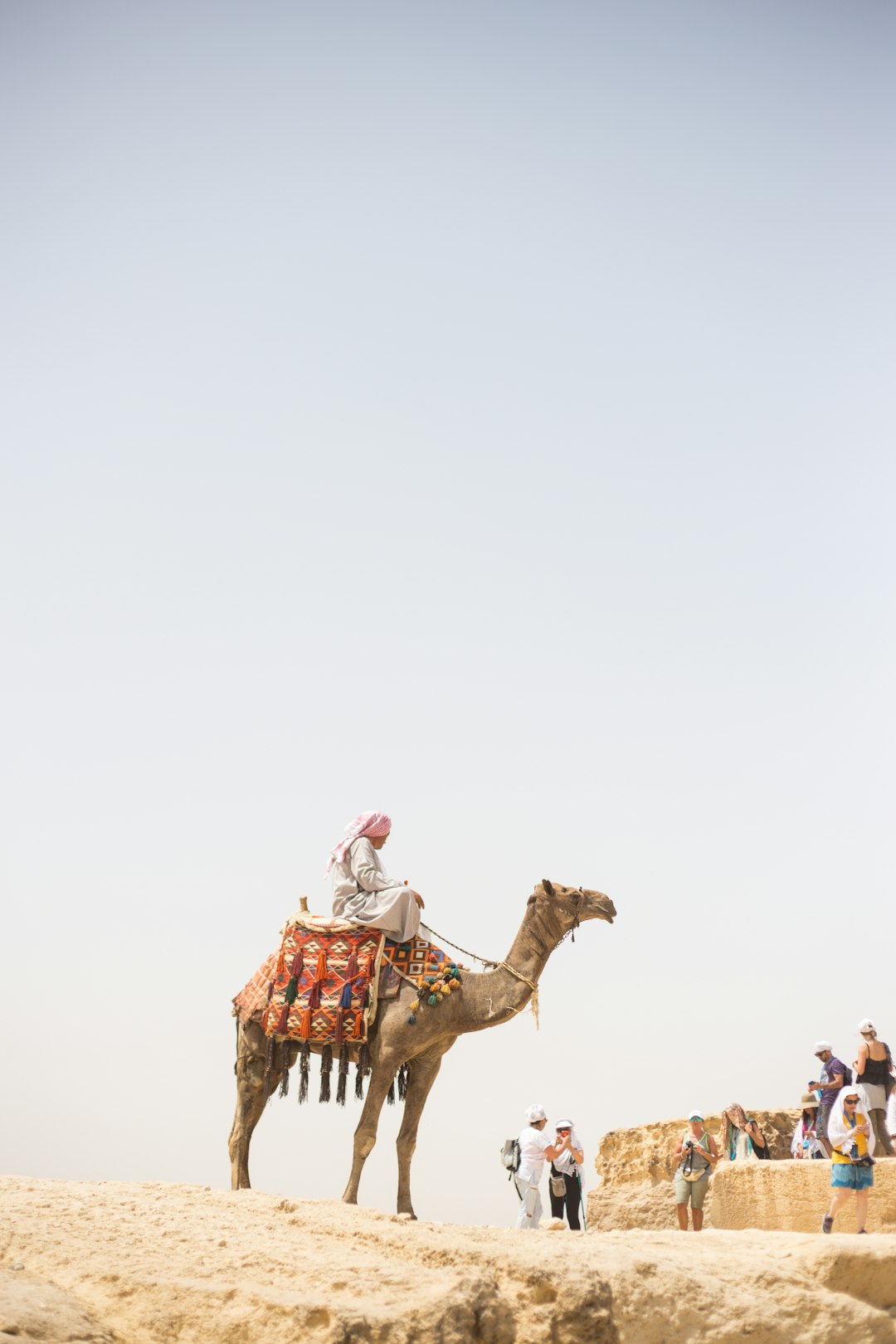  man riding camel camel