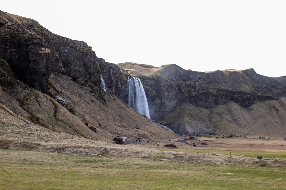 waterfalls and grass field scenery