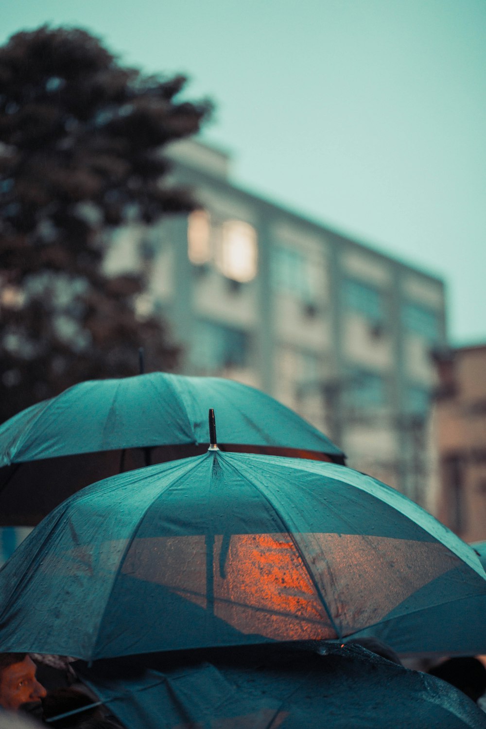 Foto de dos paraguas negros – Imagen gratuita Paraguas en Unsplash