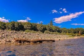 A serene landscape featuring a clear blue sky with scattered clouds above a lush, green tree line. A rocky shoreline stretches along a calm body of water, with a large piece of driftwood resting on the stones. The scene conveys a sense of peacefulness and natural beauty.