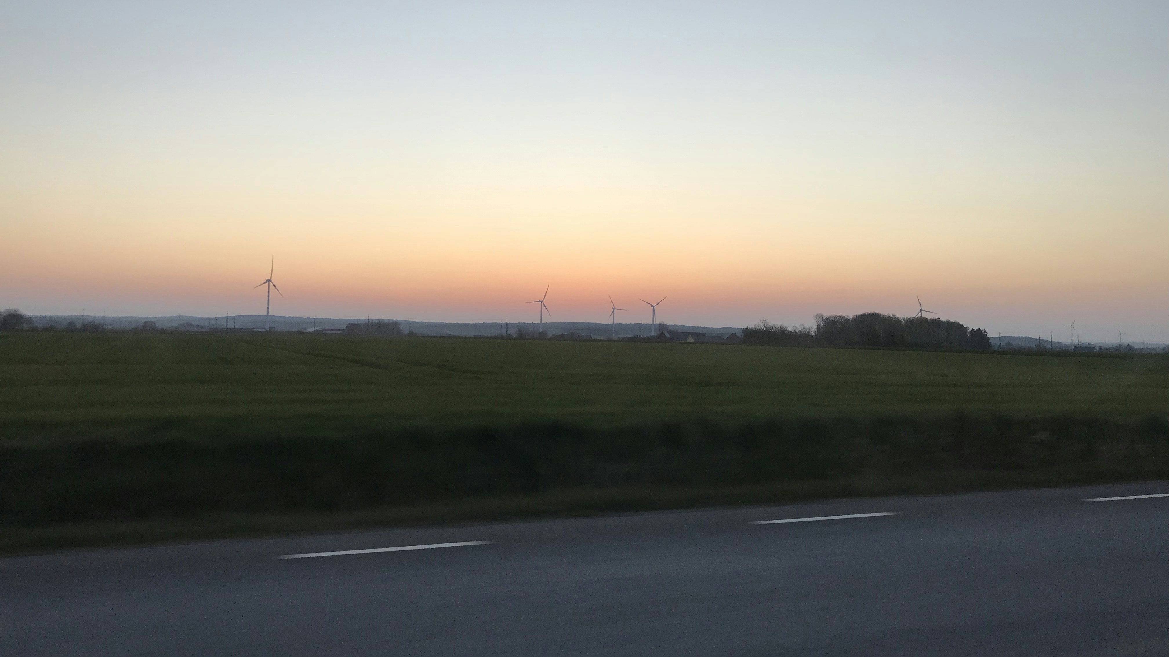 green field under gray sky at golden hour