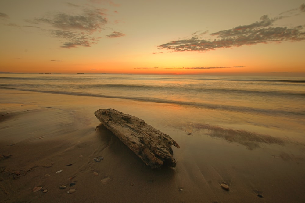 a large piece of wood sitting on top of a sandy beach