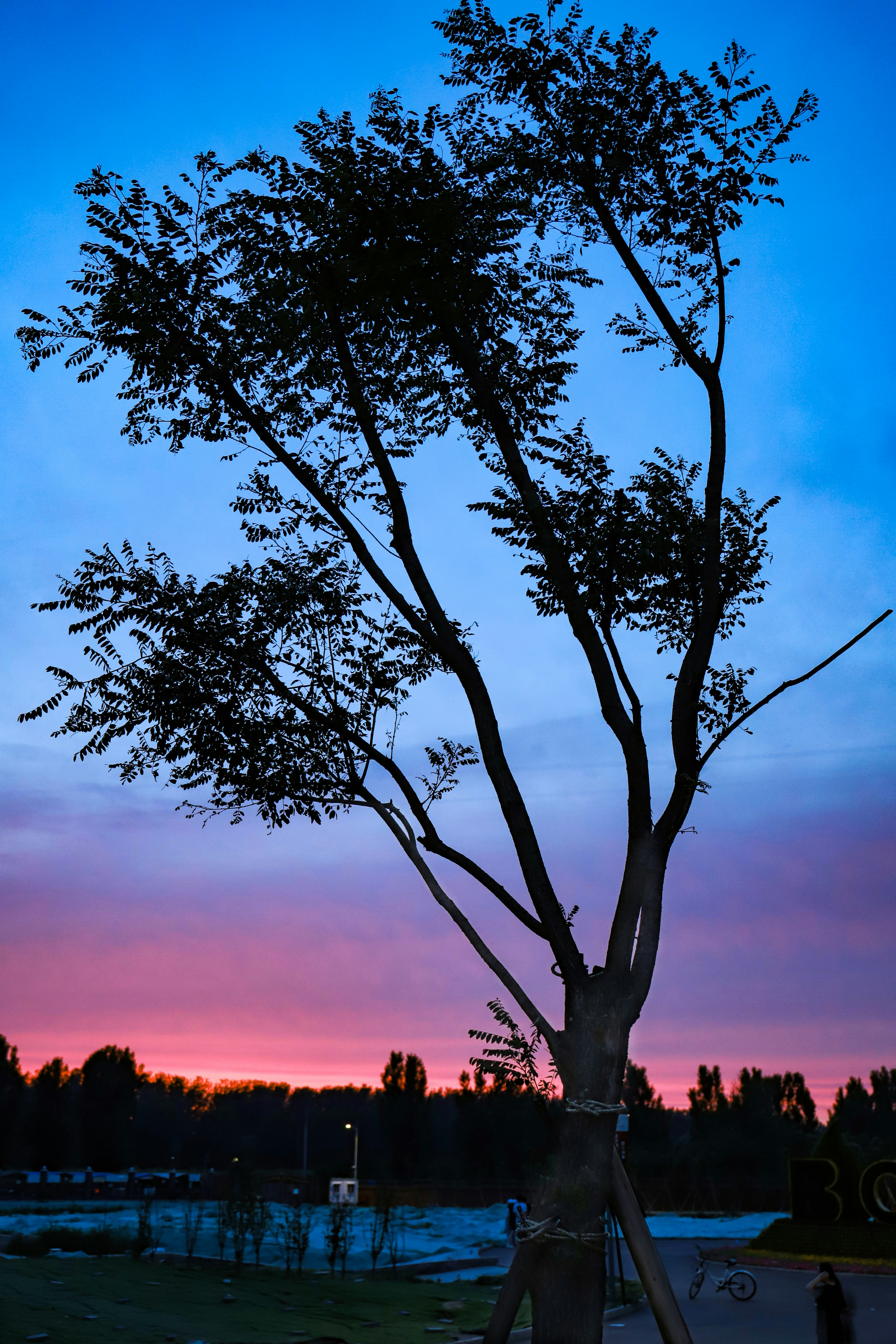 Photo by mujinxinian