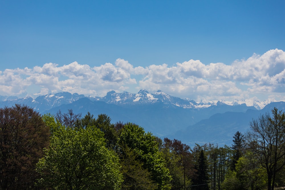 a view of a mountain range with trees in the foreground