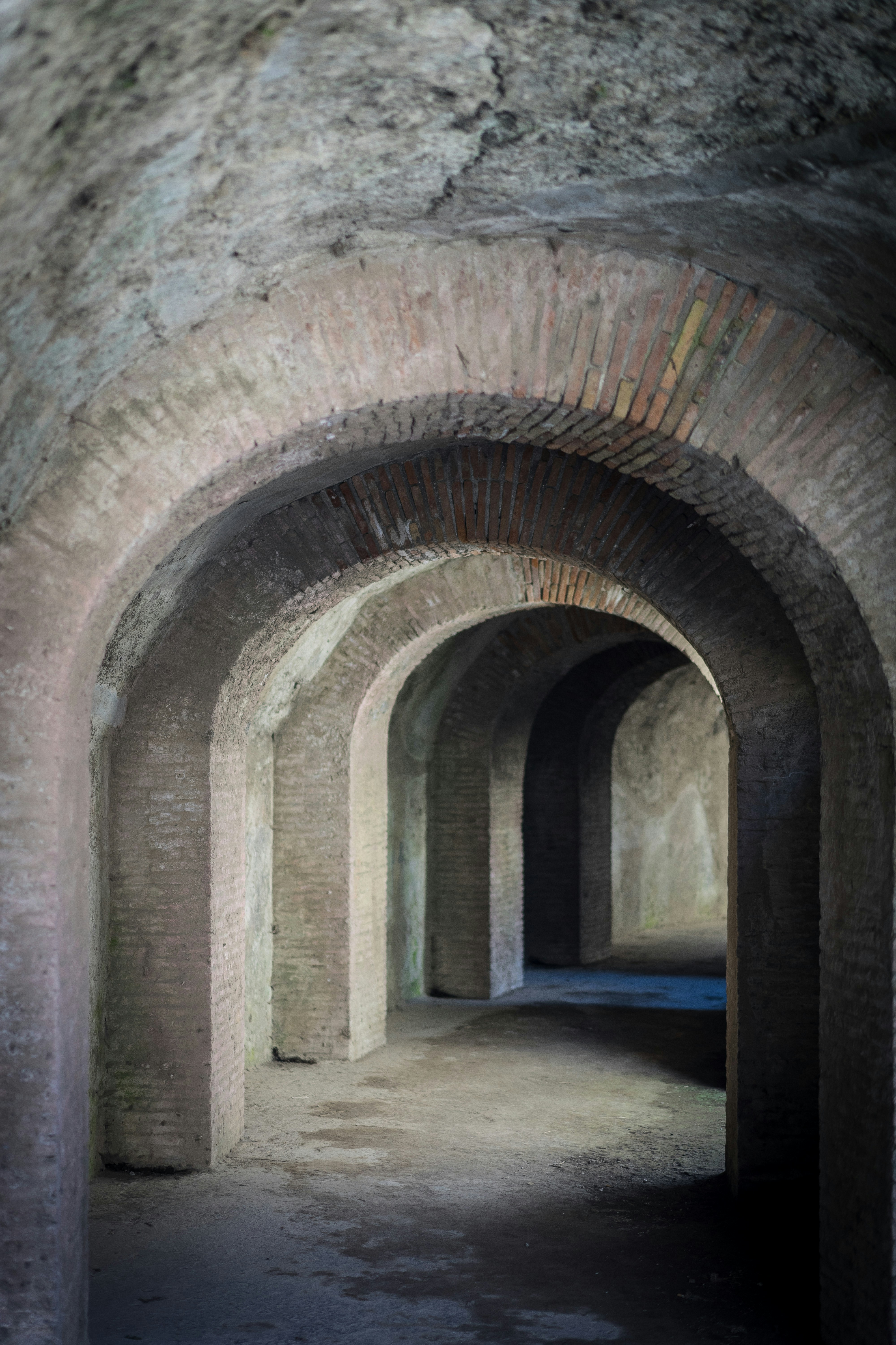 Photo by tomasrobertson