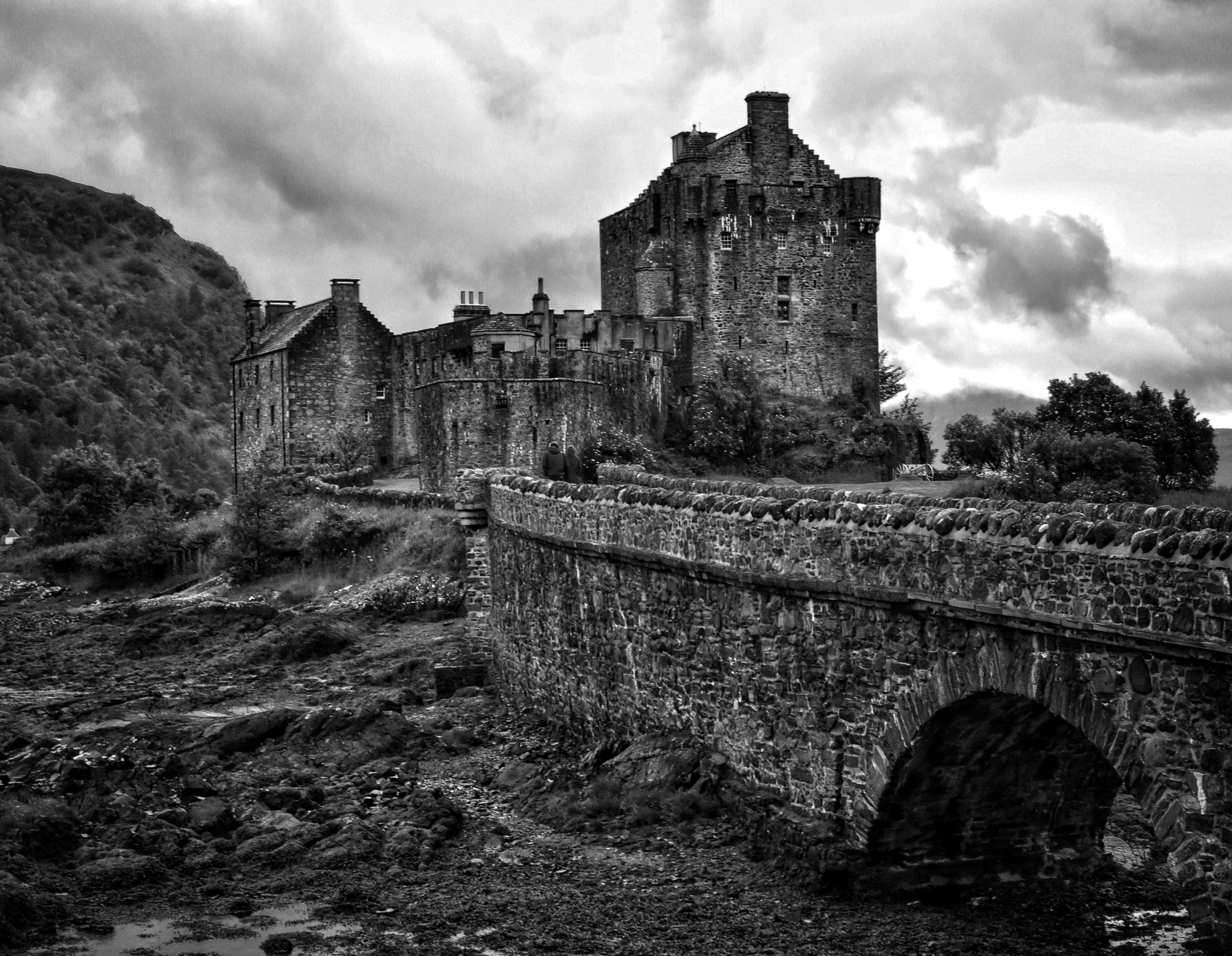 Photo by tomasrobertson