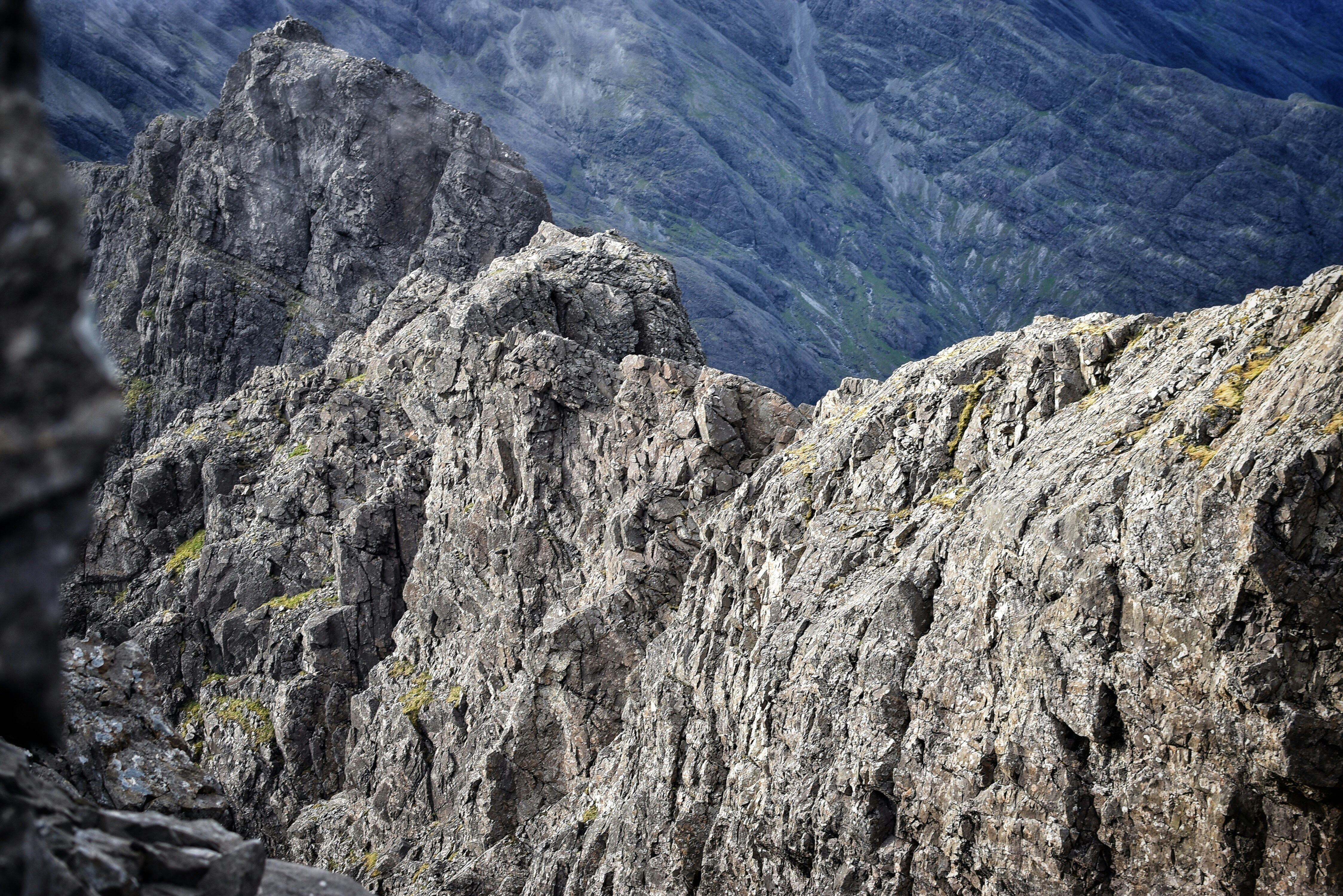 Photo by tomasrobertson