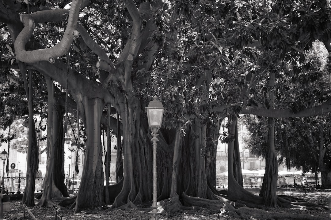 grayscale photo of post lamp and tress