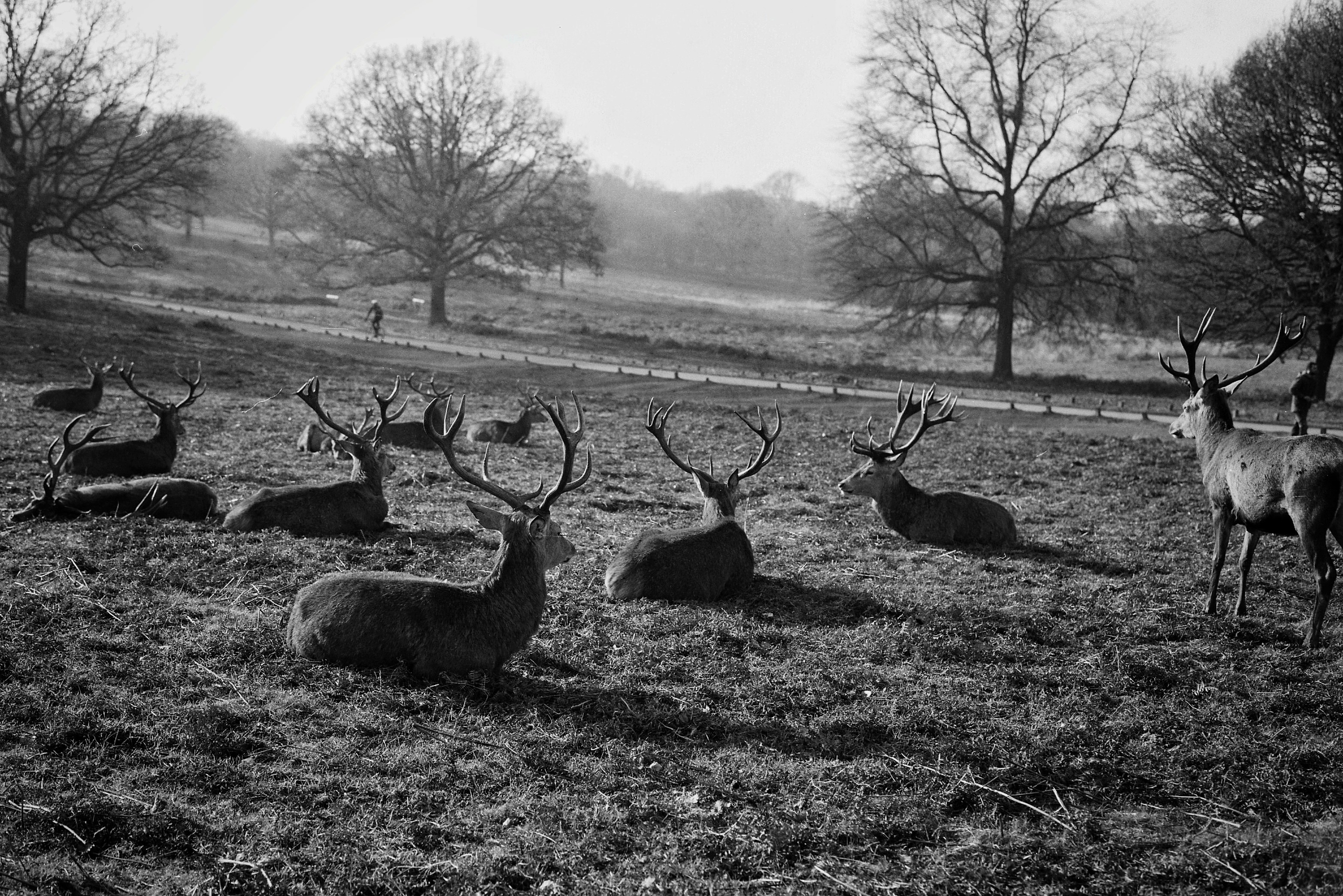 Photo by tomasrobertson