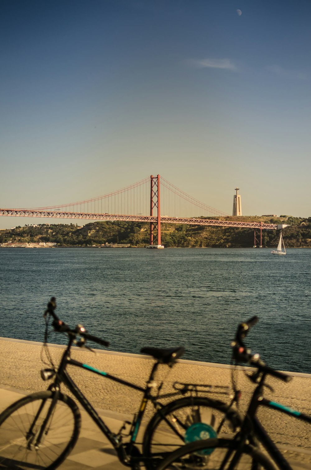 two black and blue bicycles