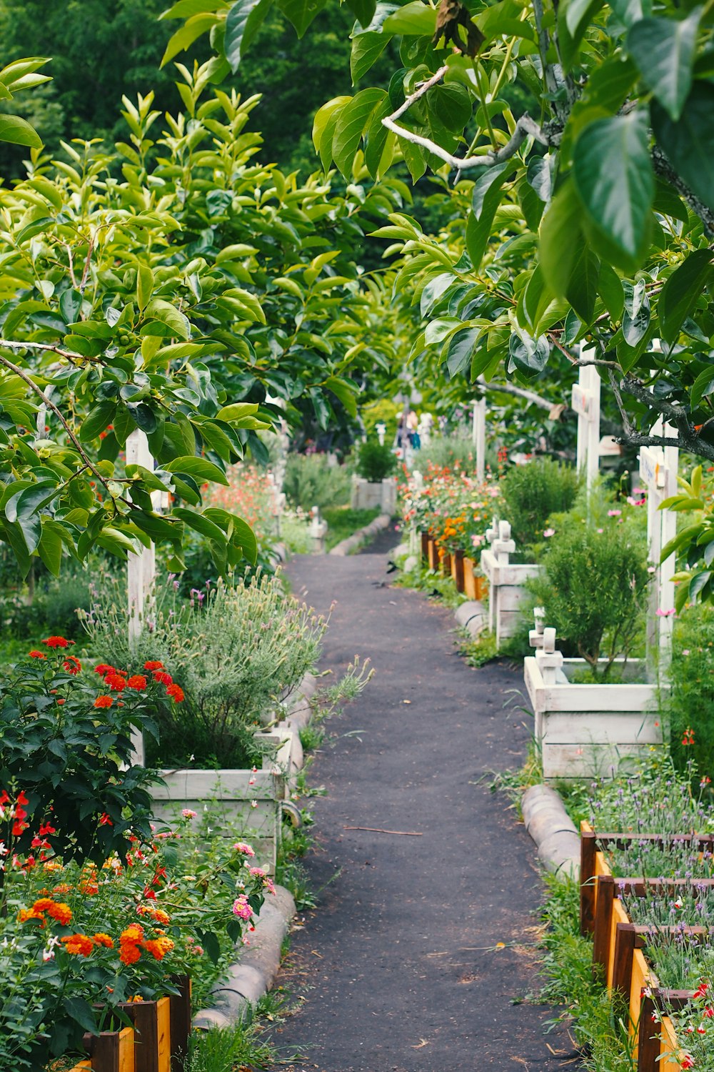 How To Choose The Best Garden Supplies