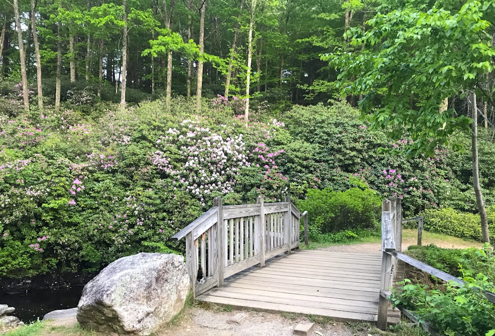 green-leafed plants and trees