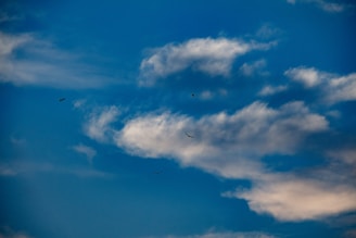 A serene landscape featuring a soaring eagle against a clear blue sky, symbolizing freedom and transformation.