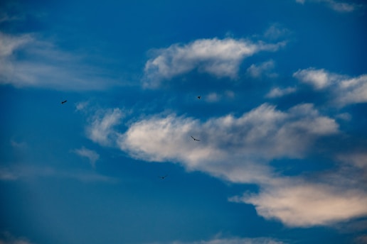 A serene landscape featuring a soaring eagle against a clear blue sky, symbolizing freedom and transformation.