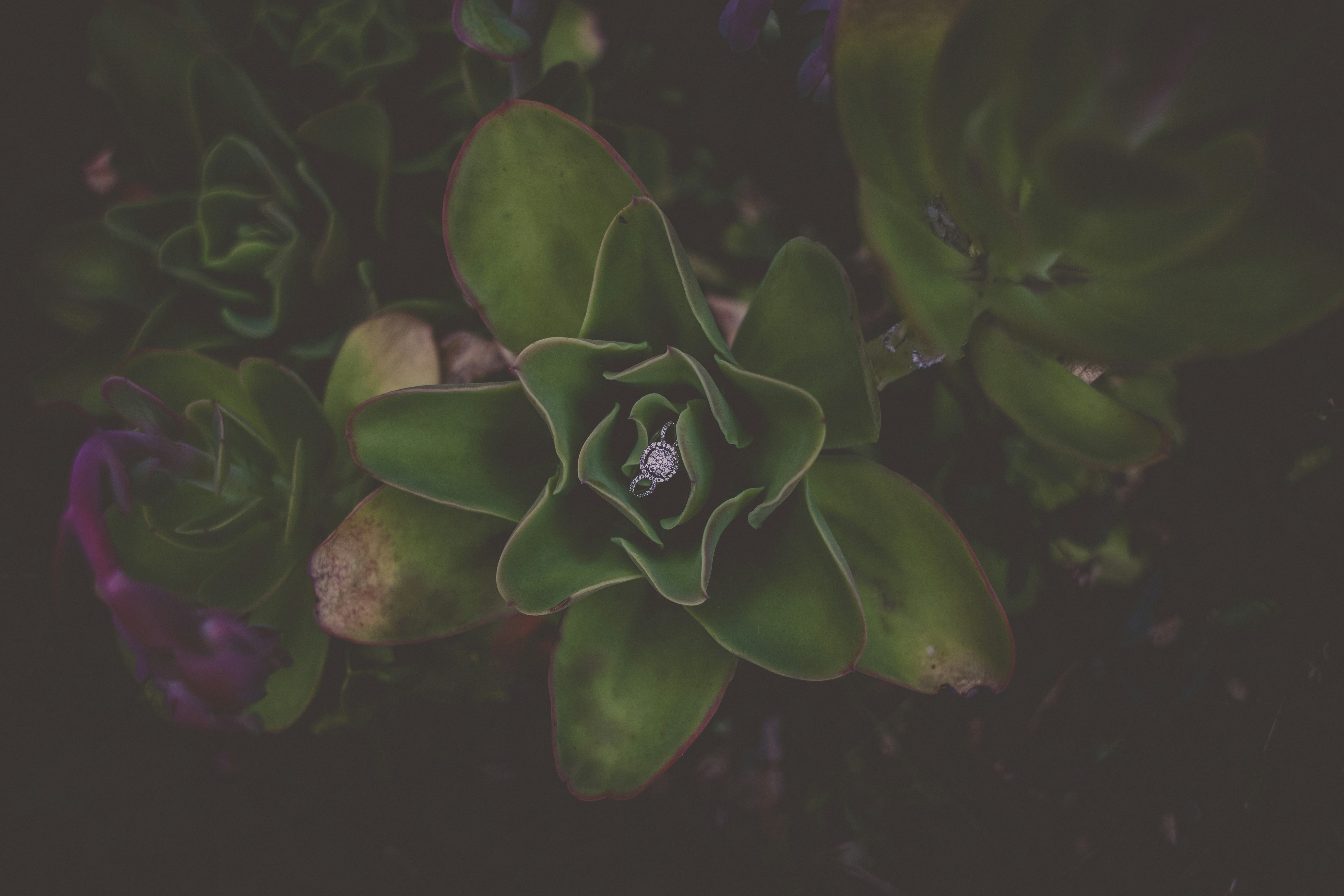 Photo by angierivera227