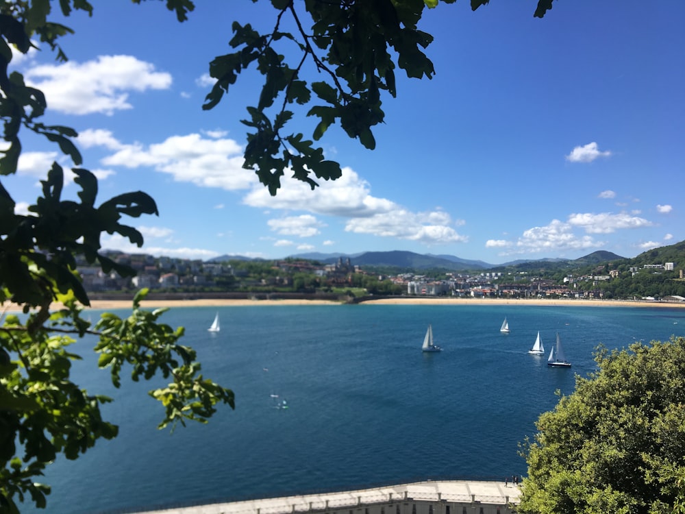 boats on body of water during daytime