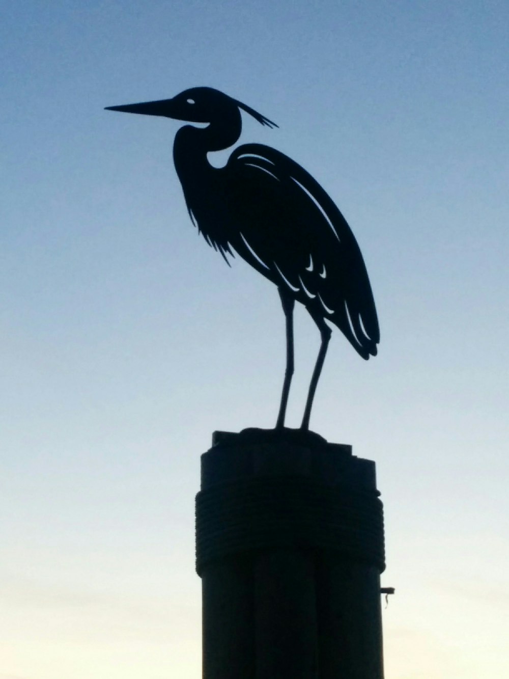 black pelican bird silhouette