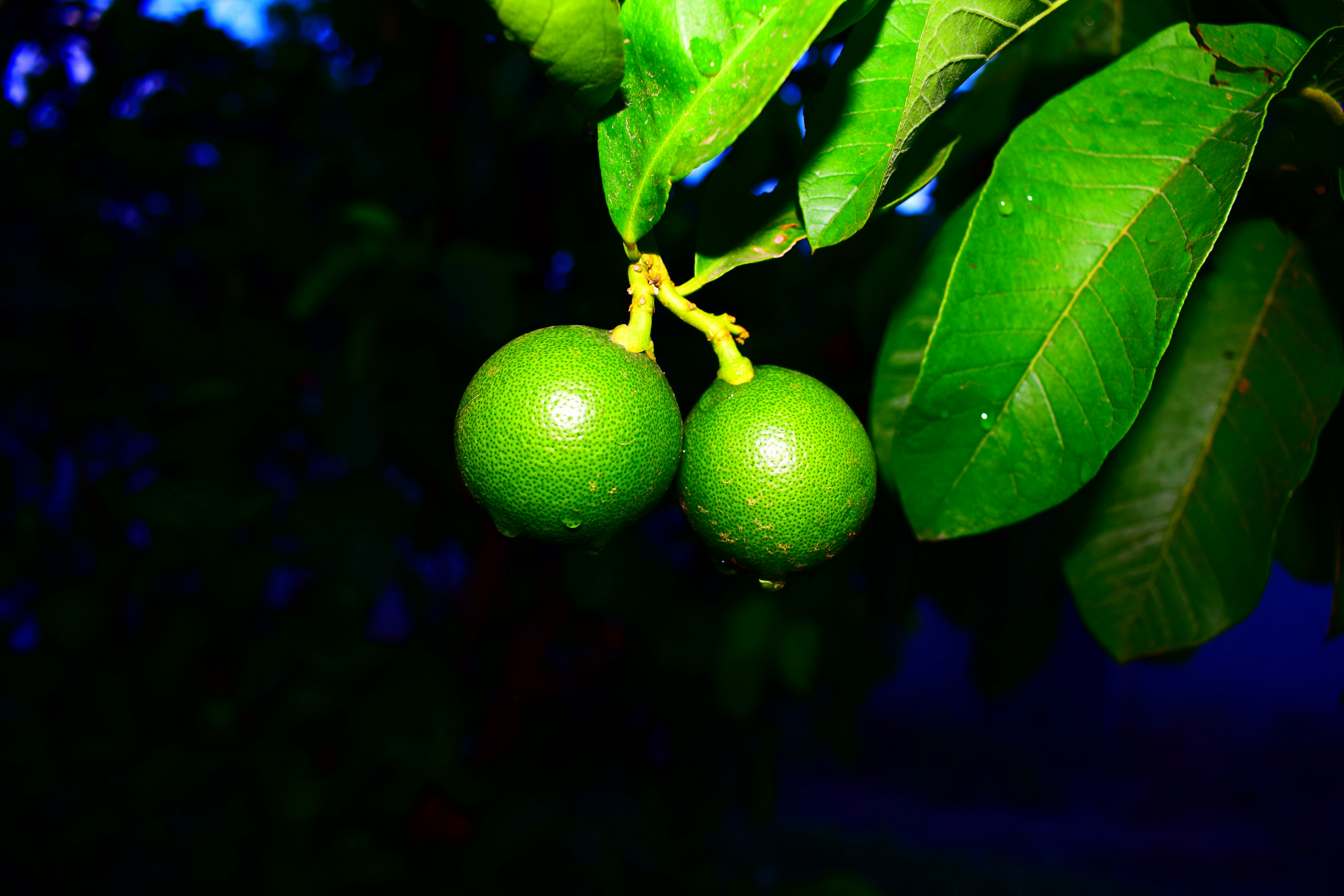 Photo by iu_unsplash