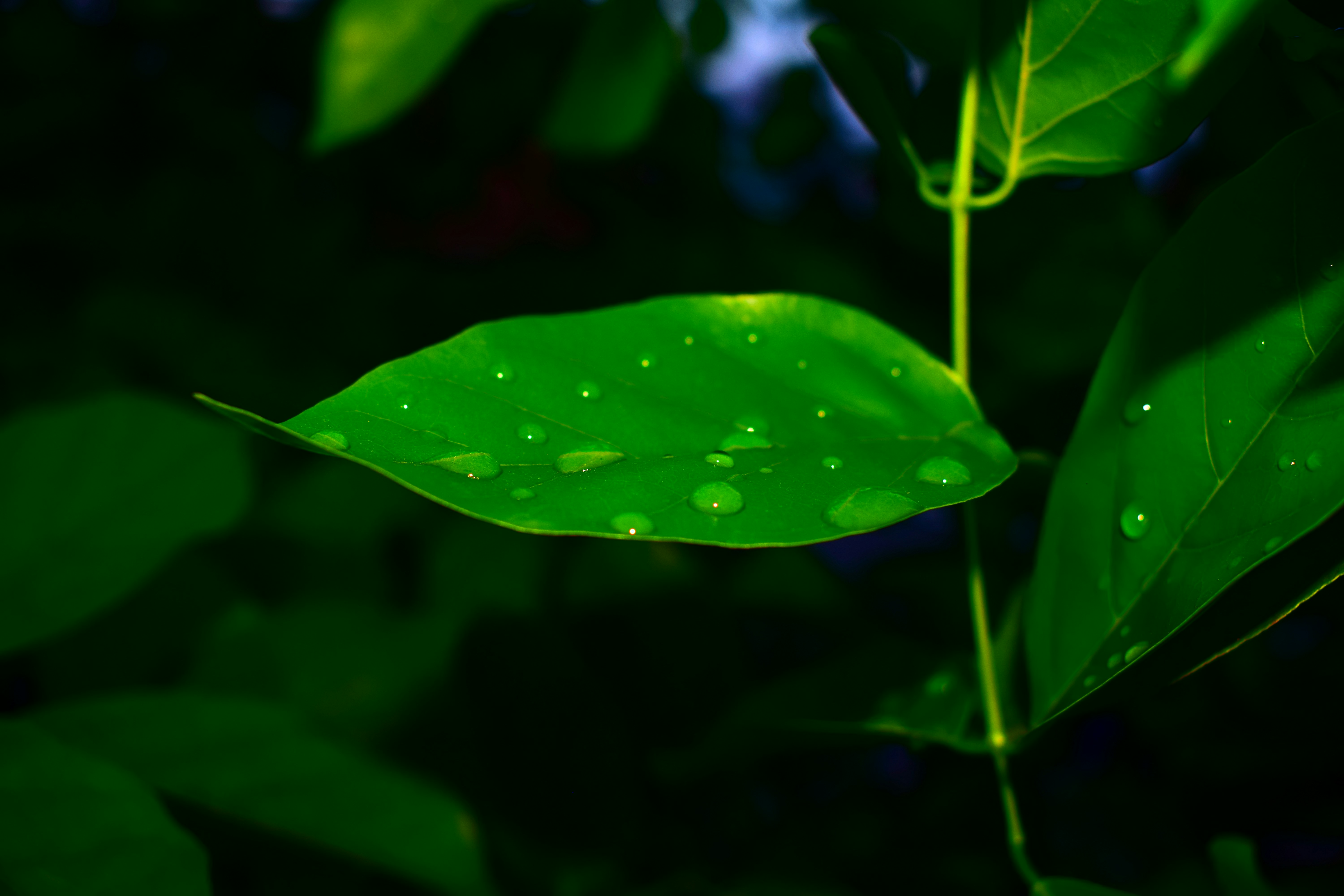 Photo by iu_unsplash