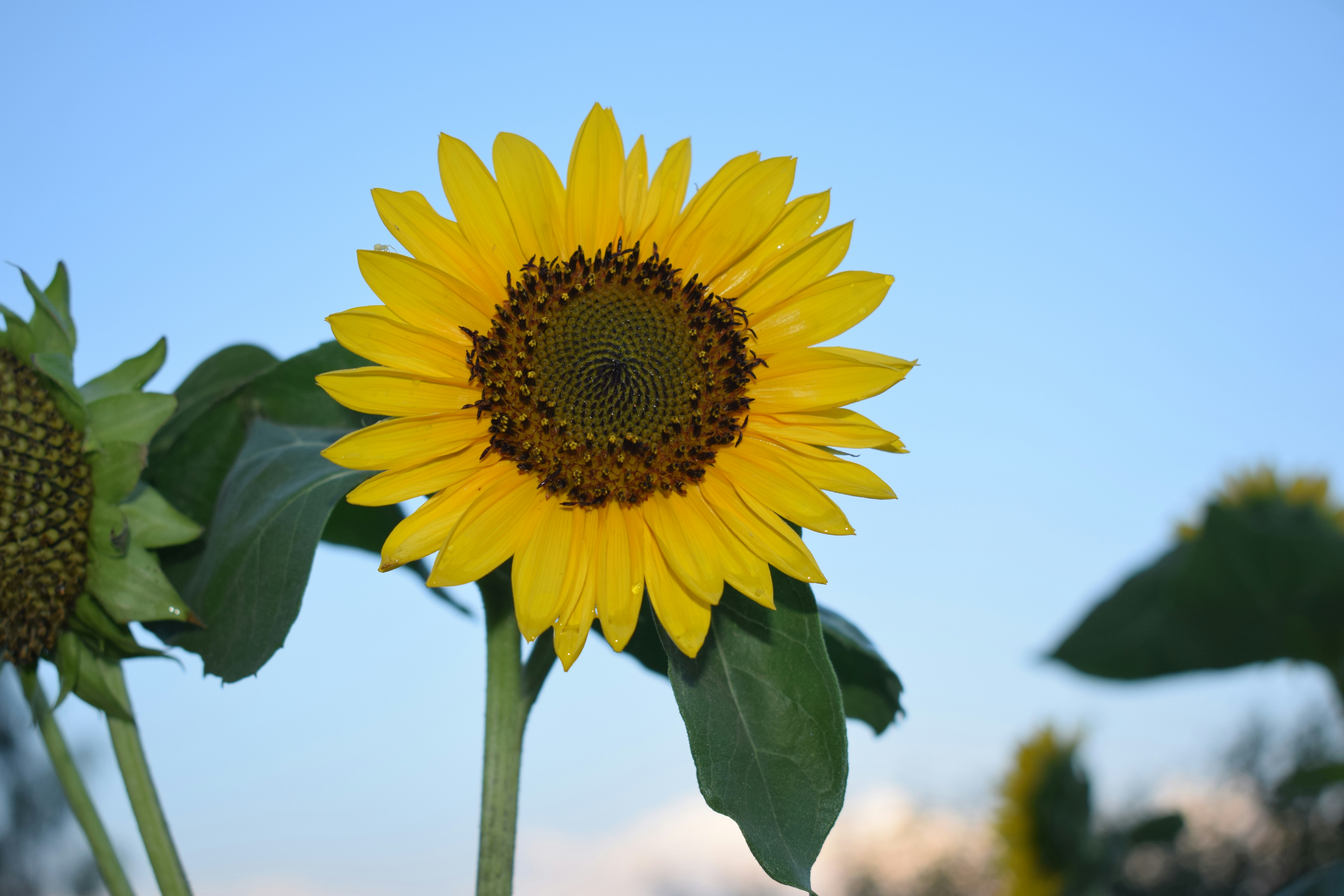 Photo by iu_unsplash