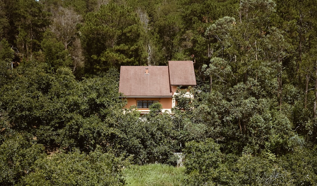 brown and white wooden house between trees during daytime