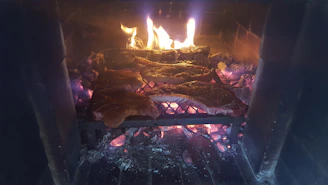 Close-up of a rustic wood fire glowing warmly under a slow-cooking meat grill.