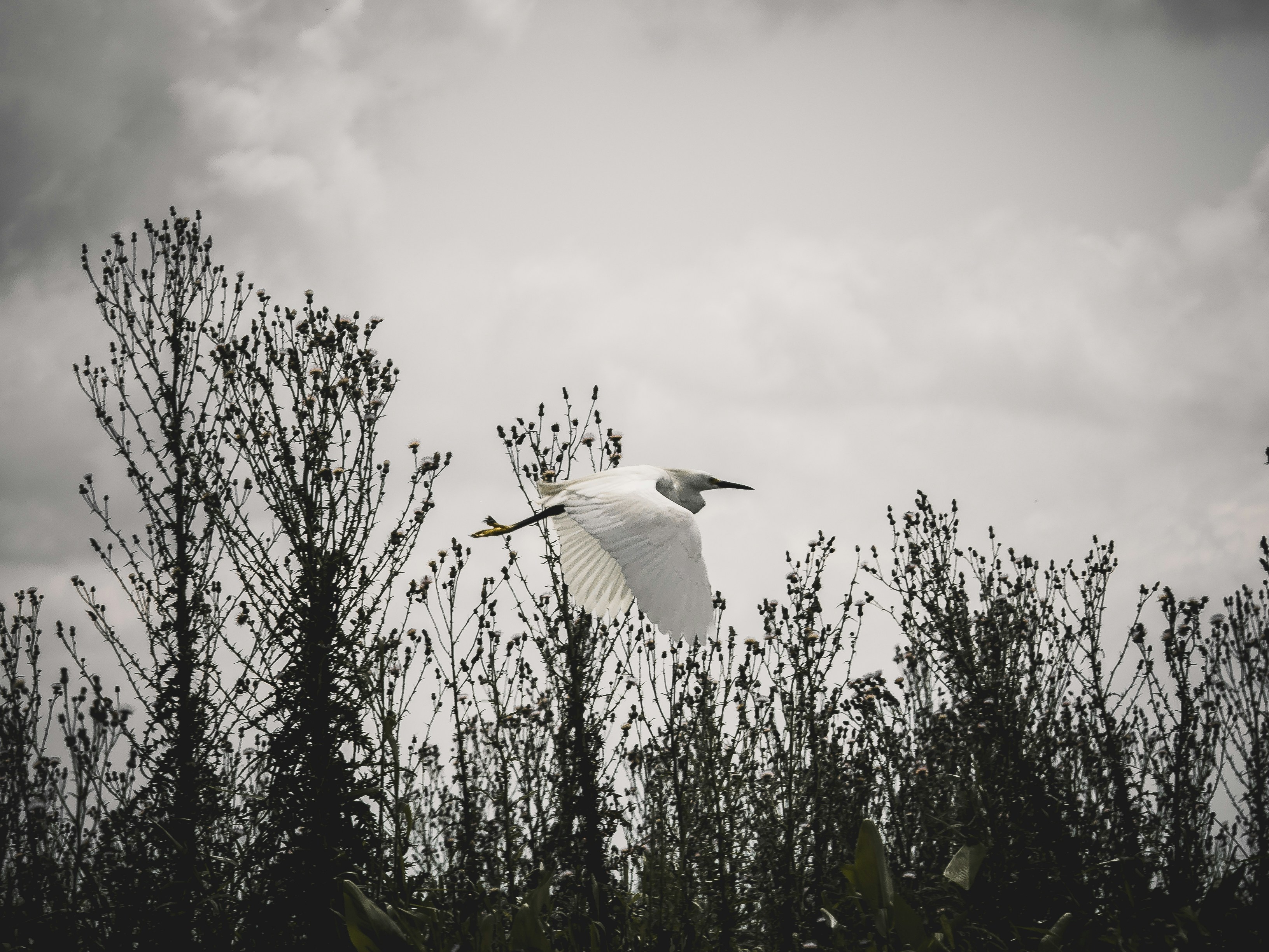 Photo by kevinandrephotography