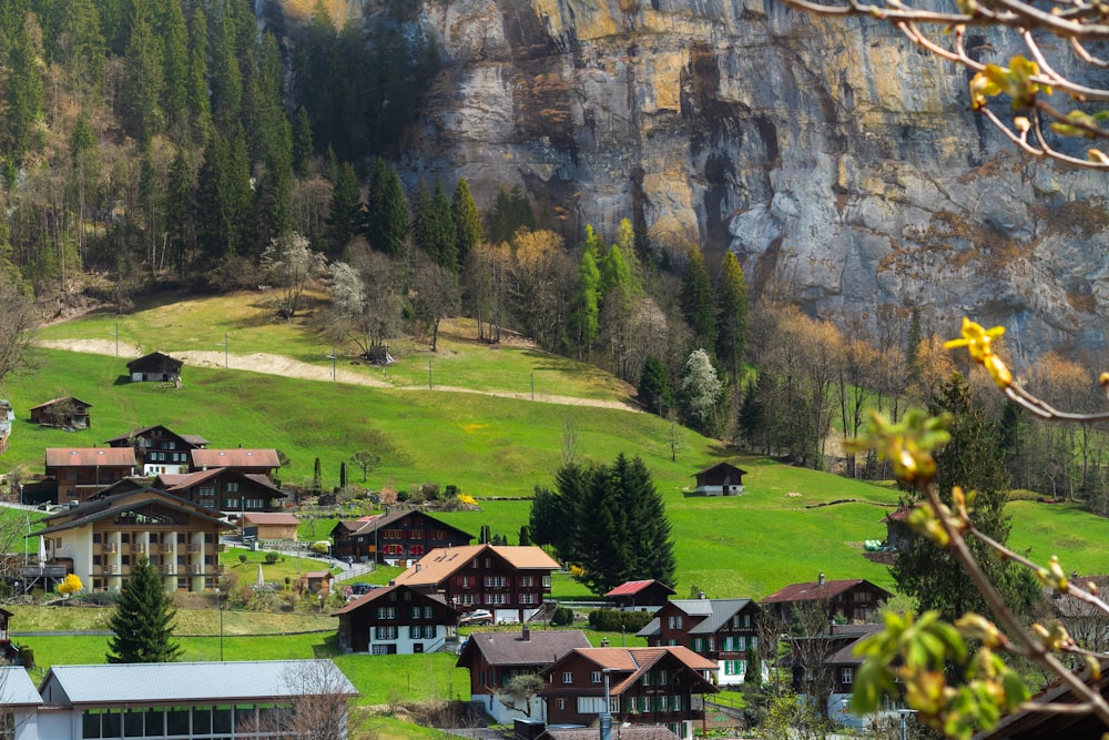 Braune Häuser auf der grünen Wiese