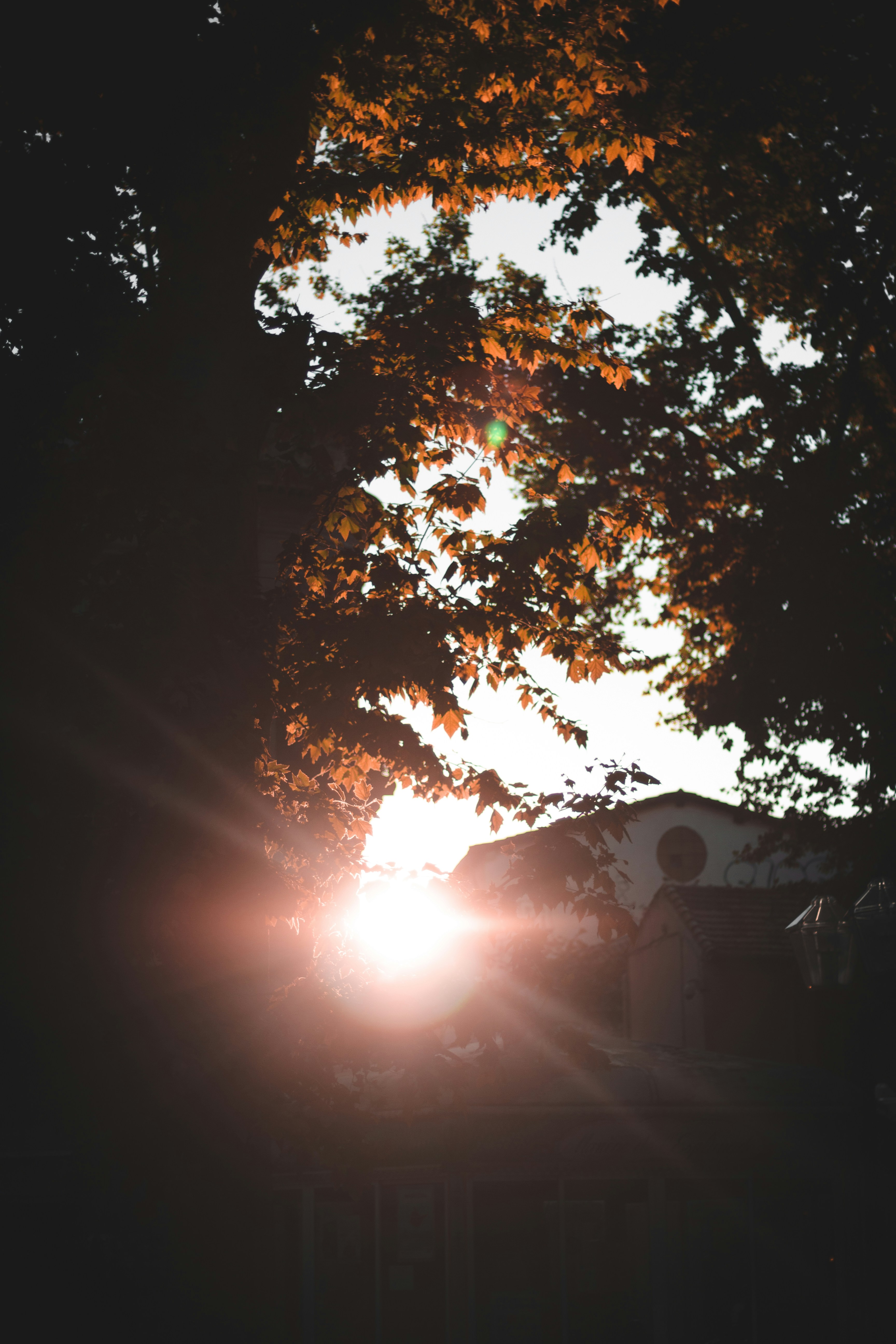 Photo by blrguillaume