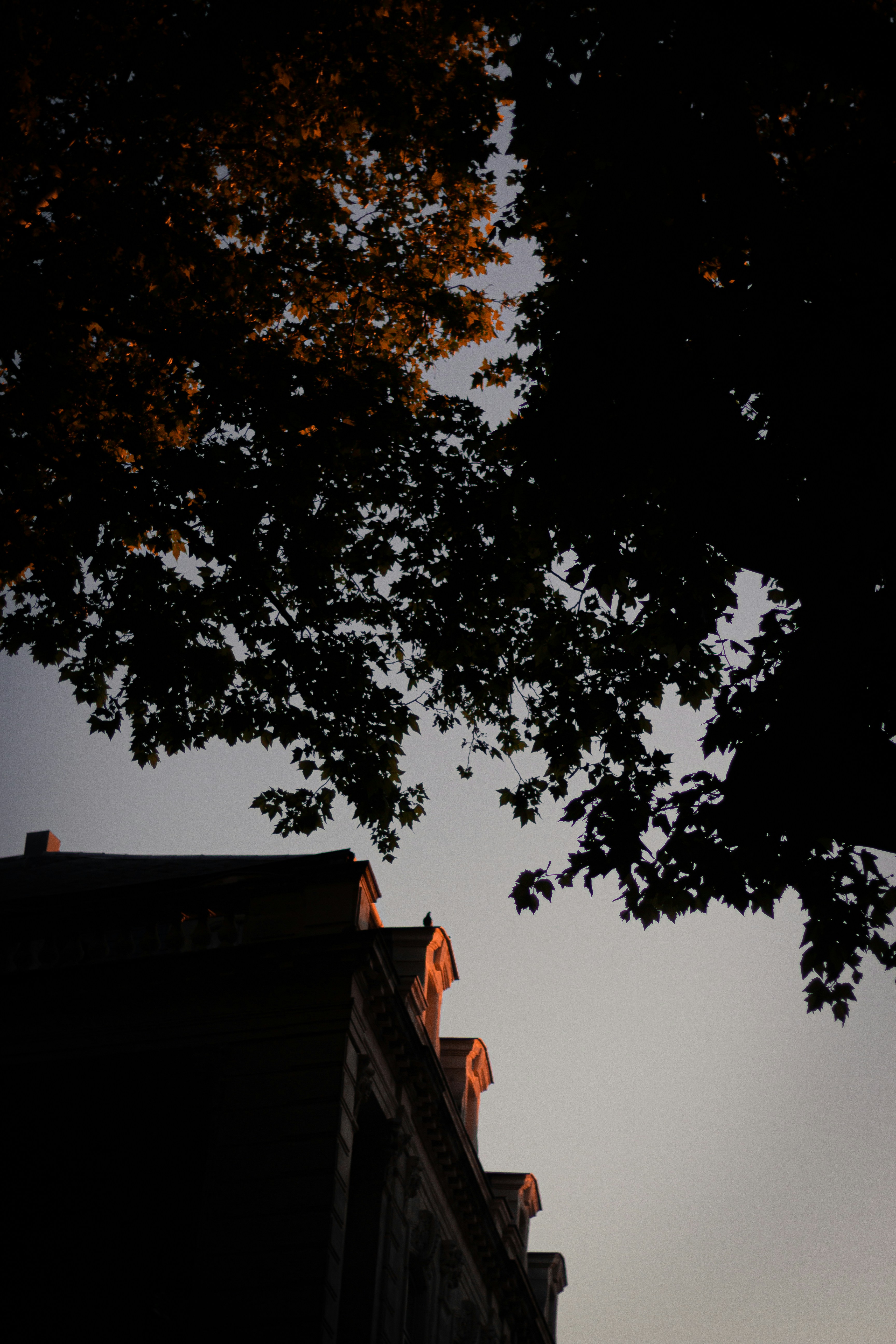 Photo by blrguillaume