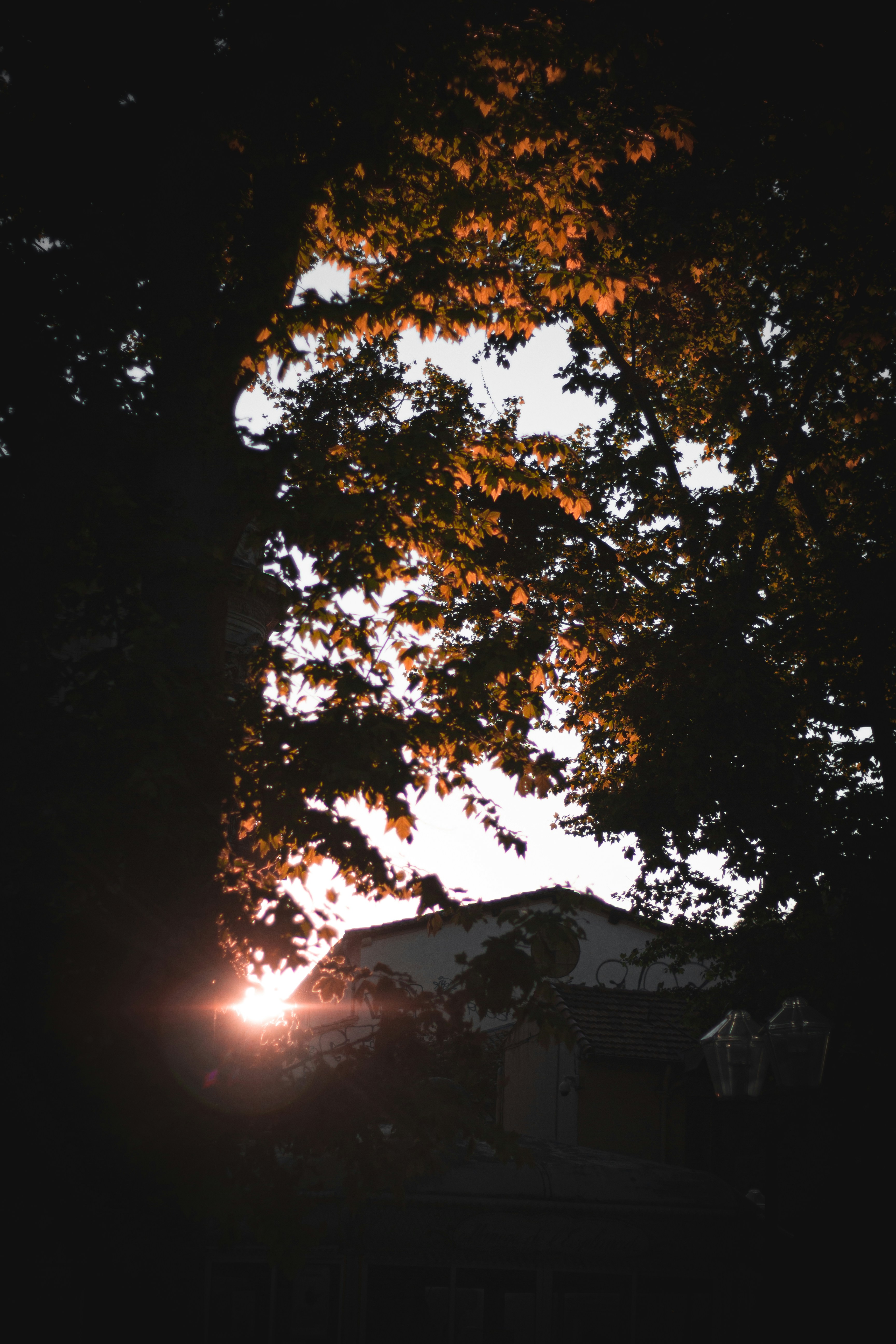 Photo by blrguillaume