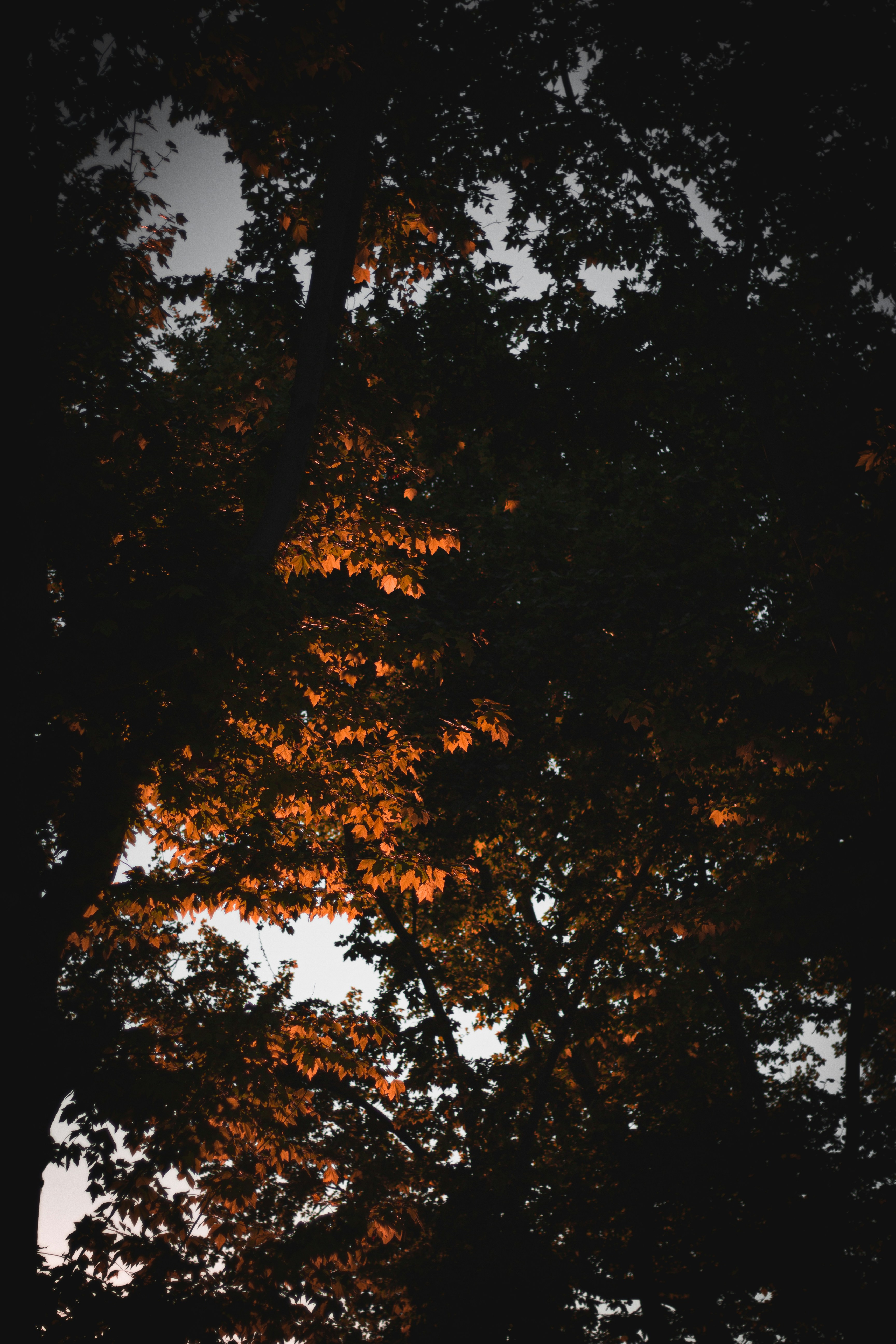 Photo by blrguillaume