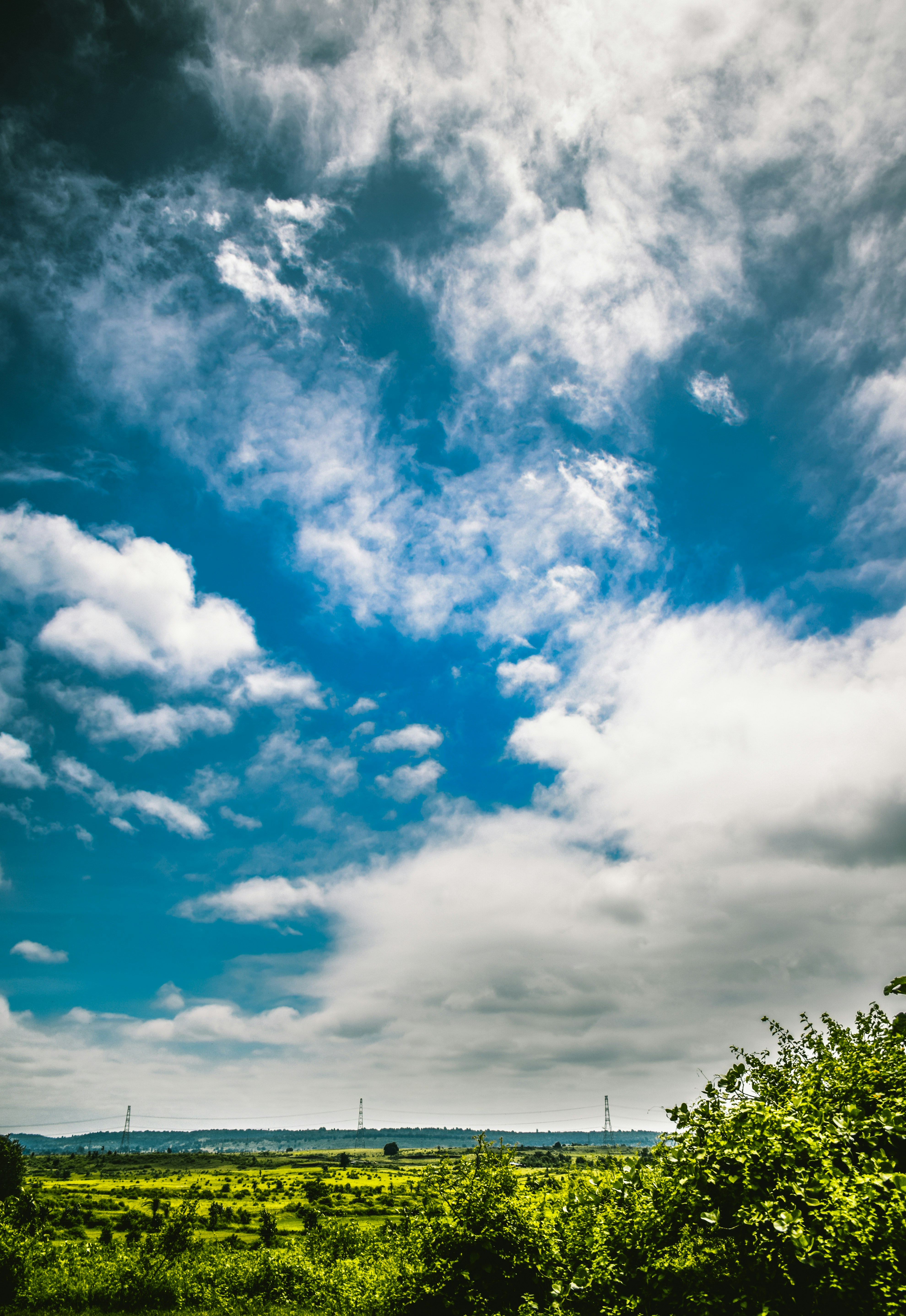 Photo by abhinav0339