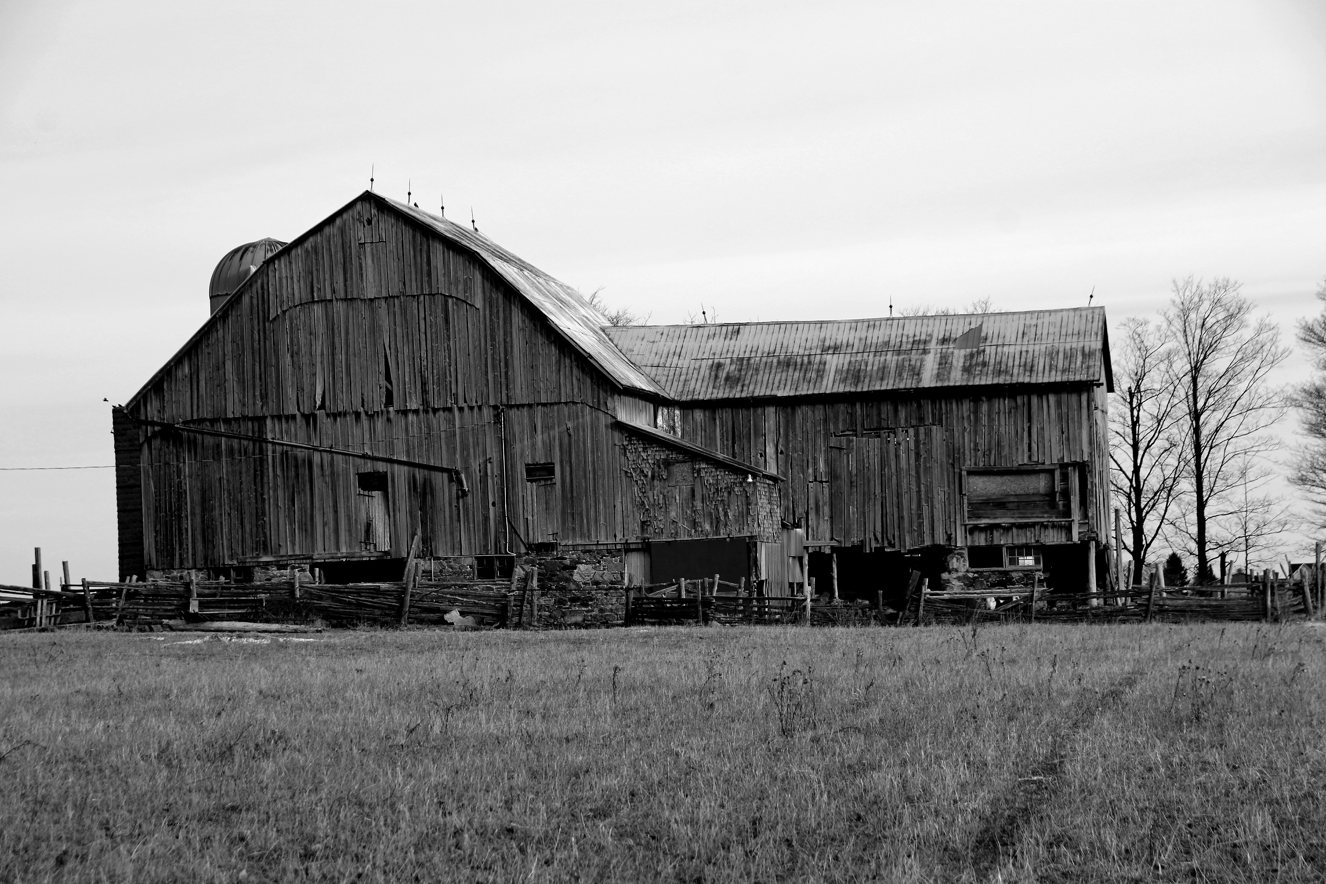 Photo by richardworks