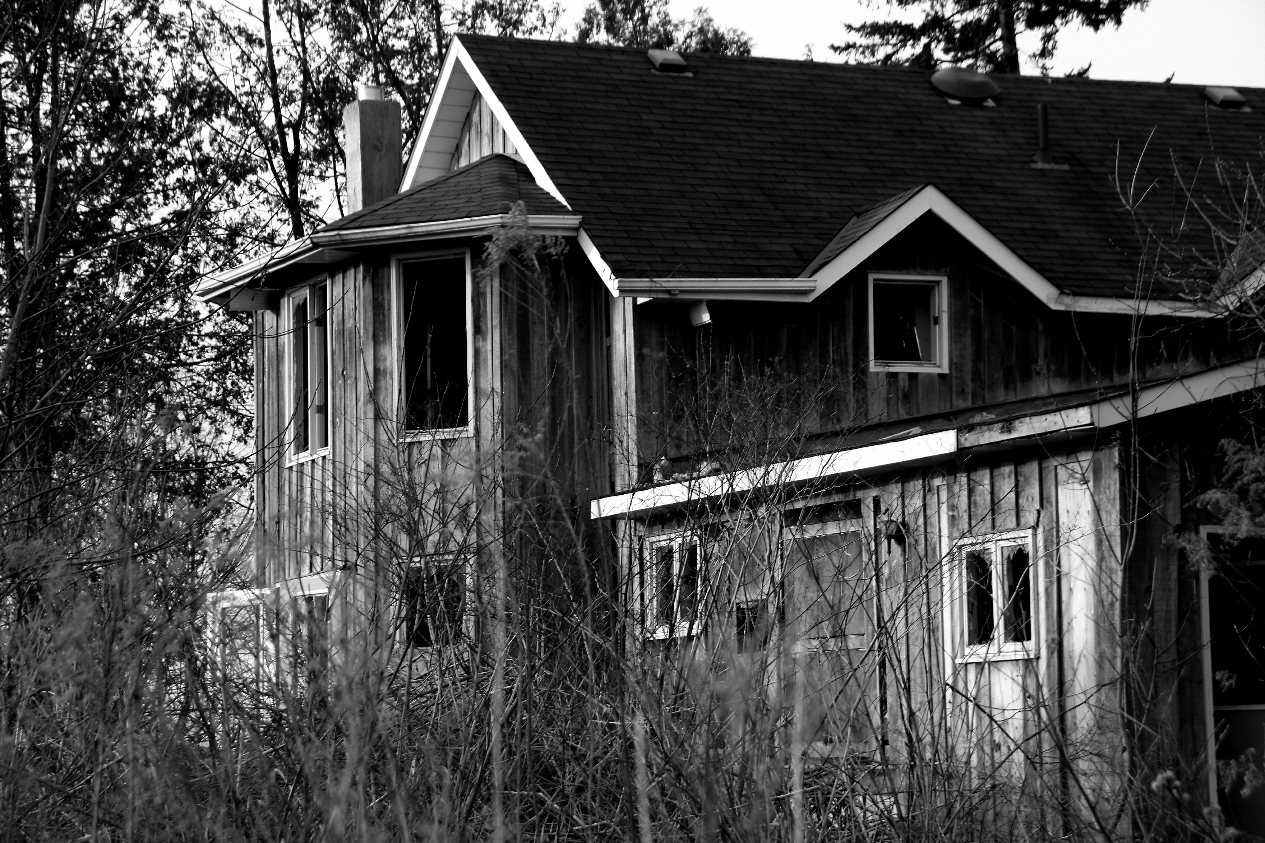 Photo by richardworks