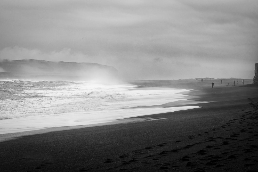 seashore in grayscale photography