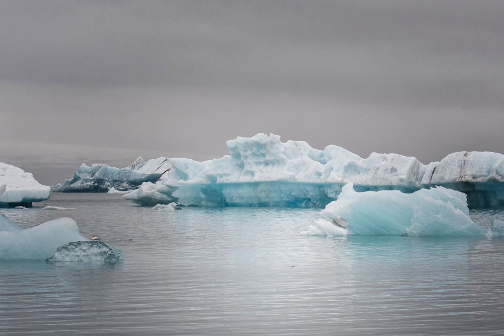 body of water during daytime